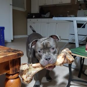 Meet your Posher, Daniel